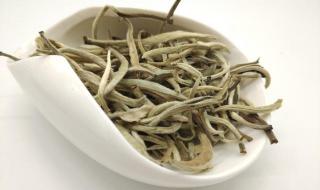 白茶怎么发酵 白茶是发酵茶吗